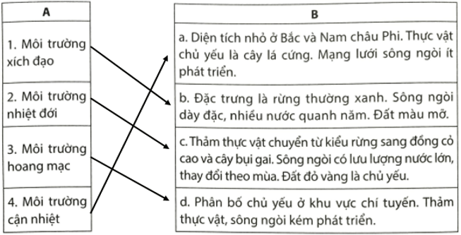 Em hãy nối ý ở cột A phù hợp với ý ở cột B, Môi trường xích đạo, Môi trường nhiệt đới