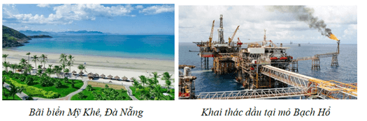 Hãy sưu tầm thông tin và hình ảnh về môi trường biển đảo Việt Nam