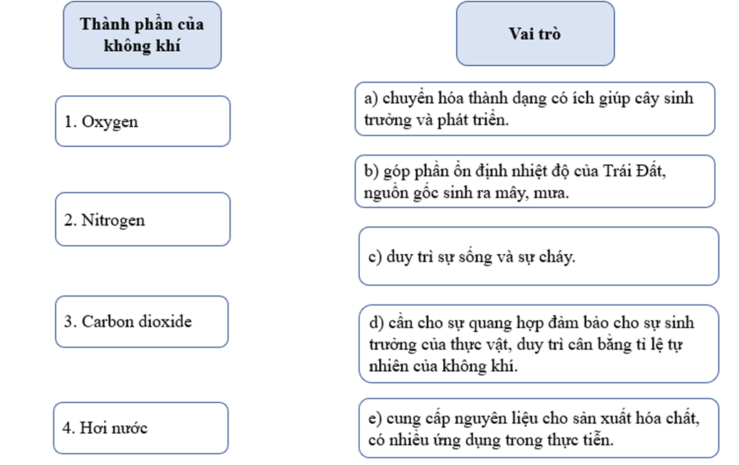 Em hãy nối thành phần không khí với vai trò tương ứng