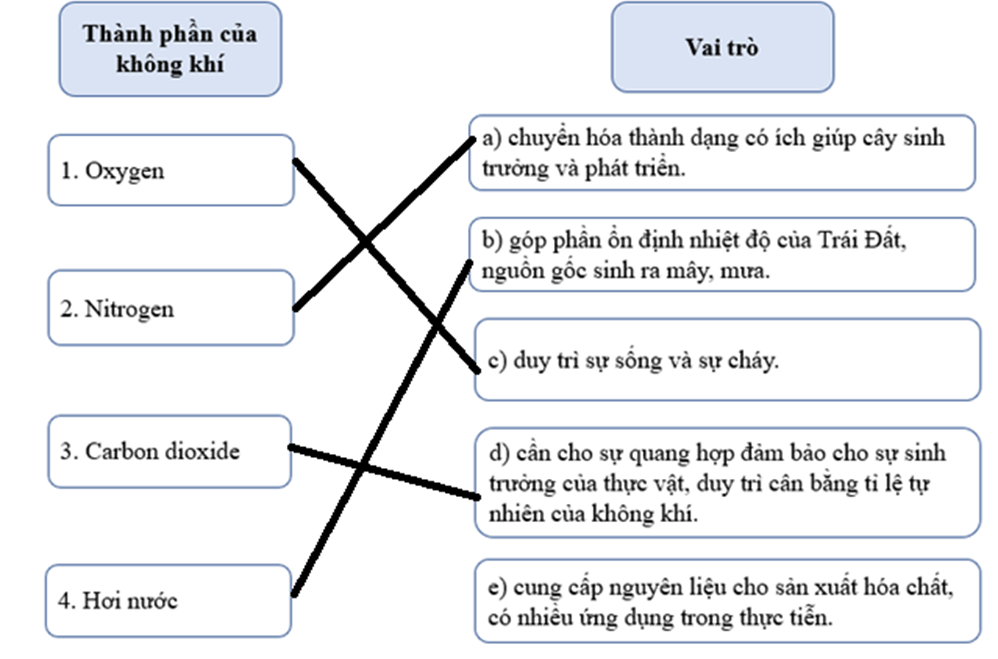 Em hãy nối thành phần không khí với vai trò tương ứng