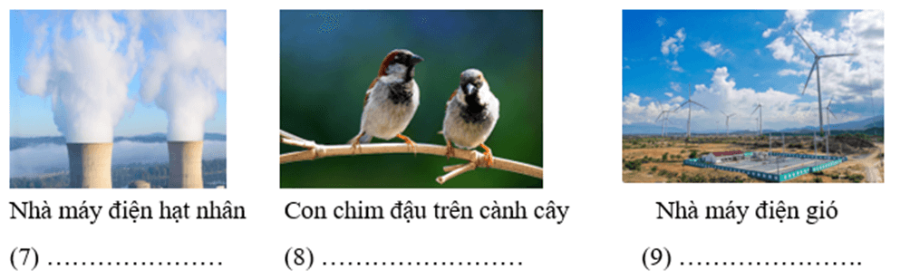 Lựa chọn các dạng năng lượng sau đây điền vào chỗ trống dưới các hình tương ứng