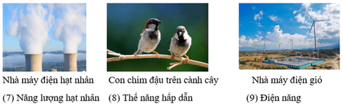 Lựa chọn các dạng năng lượng sau đây điền vào chỗ trống dưới các hình tương ứng