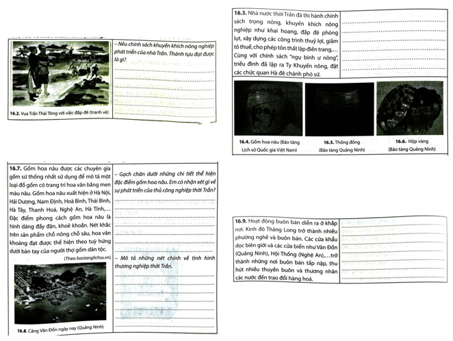Quan sát các hình 16.2, 16.4. 16.5. 16.6, 16.8, dựa vào các đoạn tư liệu 16.3, 16.7, 16.9 và hoàn thành các nội dung