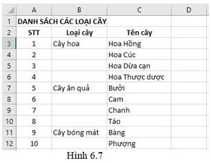 Em hãy tìm một số loại cây có thể mua và trồng cho dự án Trường học xanh (ảnh 2)