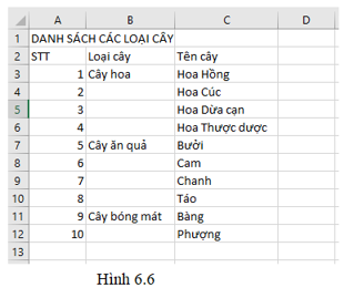 Em hãy tìm một số loại cây có thể mua và trồng cho dự án Trường học xanh (ảnh 1)