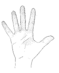 Viết tập hợp A các ngón tay có trong một bàn tay ở hình bên