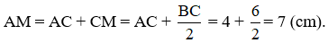 Cho điểm C nằm giữa hai điểm A và B sao cho AC = 4cm; BC = 6cm