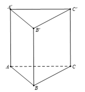 Cho hình lăng trụ đứng tam giác ABC.A'B'C'. Hãy cho biết các mặt bên, mặt đáy và cạnh bên của nó