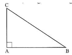 Trong tam giác ABC vuông tại A, đường nào là đường vuông góc, đường nào là đường xiên