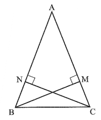 Cho tam giác ABC cân tại A, góc A nhọn. Chứng minh hai đường cao BM và CN