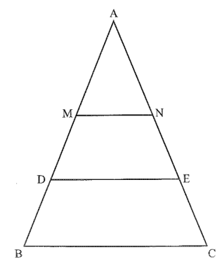 Tam giác ABC cân tại A như hình vẽ. Để trang trí người ta cần tạo thêm các thanh ngang MN và DE