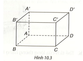 Quan sát Hình 10.3, hình hộp chữ nhật ABCD.A'B'C'D' có các đường chéo là AC', BD', DB' 