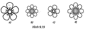 Biết rằng mỗi hình dưới đây đồng dạng với một hình khác, hãy tìm các cặp