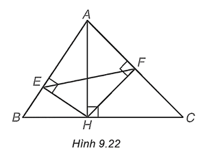 Trong Hình 9.22, cho AH, HE, HF lần lượt là các đường cao của các tam giác