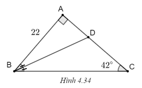 Cho tam giác ABC vuông ở A và BD là tia phân giác góc B. Biết góc C = 42 độ