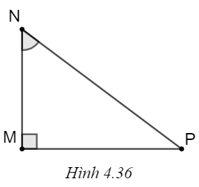 Chọn phương án đúng. Trong tam giác MNP vuông tại M (H.4.36), sin góc MNP bằng