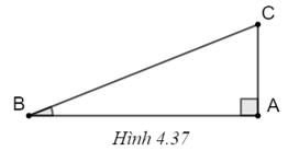 Chọn phương án đúng. Trong tam giác ABC vuông tại A (H.4.37), tan B bằng