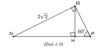 Chọn phương án đúng. Cho tam giác MNP như Hình 4.38, MH là đường cao